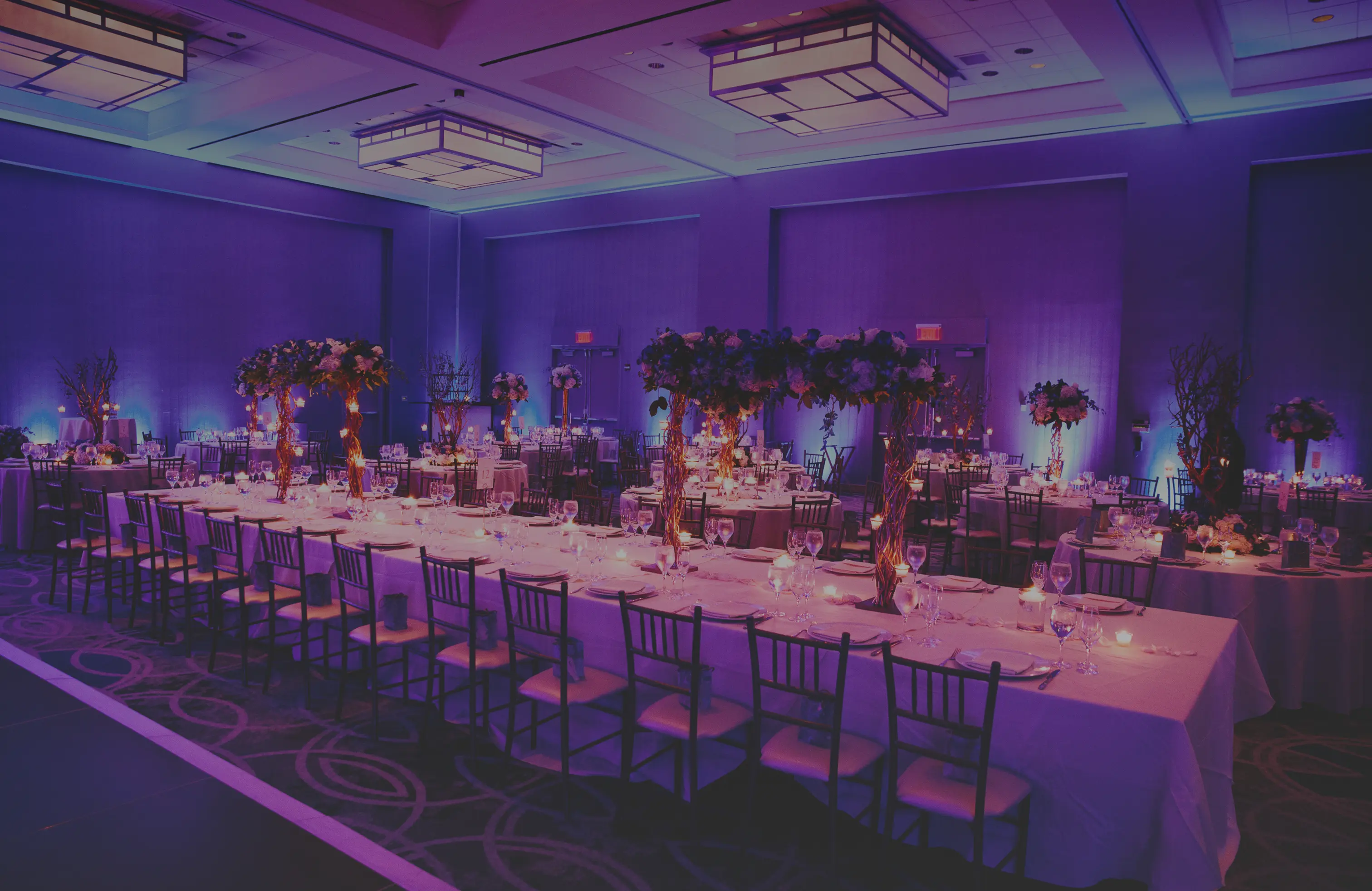 Alive Catering Hero Image
